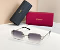 Cartier Sunglasses MODEL CT02027O SIZE 142 best quality 1:1 
