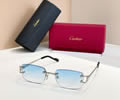 Cartier Sunglasses MODEL CT02026O SIZE 142best quality 1:1 