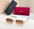 Cartier Sunglasses MODEL CT02026O SIZE 142best quality 1:1 