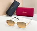 Cartier Sunglasses MODEL CT02026O SIZE 142best quality 1:1 