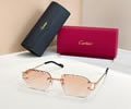 Cartier Sunglasses MODEL CT02029O SIZE 142 best quality 1:1 