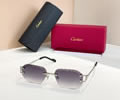 Cartier Sunglasses MODEL CT02029O SIZE 142 best quality 1:1 