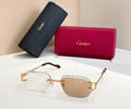Cartier Sunglasses MODEL CT02029O SIZE 142 best quality 1:1 