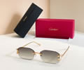 Cartier Sunglasses MODEL CT0797S SIZE 140 best quality 1:1