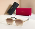 Cartier Sunglasses MODEL CT0462S SIZE 145 best quality 1:1 