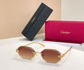 Cartier Sunglasses MODEL CT0929S Size 143 best quality 1:1 