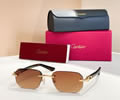 Cartier Sunglasses MODEL CT0583O Size 145 best quality 1:1 
