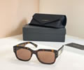 Dolce & Gabbana Sunglasses MODEL DG4483 SIZE 53-20-145