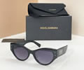 Dolce & Gabbana Sunglasses MODEL DG4480 SIZE 53-20-145