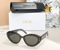DIOR Sunglasses MODEL DSGTA33UCR SIZE 54-20-140