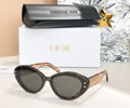 DIOR Sunglasses MODEL DSGTA33UCR SIZE 54-20-140