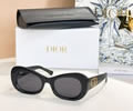 IOR Sunglasses MODEL DSGTA13UCR SIZE 54-21-142