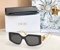 DIOR Sunglasses MODEL DSGTA52UCR SIZE 55-18-138