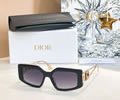 DIOR Sunglasses MODEL DSGTA52UCR SIZE 55-18-138