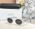 DIOR Sunglasses MODEL DiorPacific B4F SIZE 53-21-140