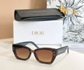 DIOR Sunglasses MODEL DSGTA32UCR SIZE 53-19-140
