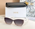 DIOR Sunglasses MODEL DSGTA32UCR SIZE 53-19-140