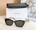 DIOR Sunglasses MODEL DSGTA32UCR SIZE 53-19-140