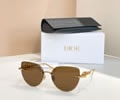 DIOR Sunglasses MODEL DSGTA48UCR SIZE 61-17-130