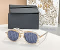 DIOR Sunglasses MODEL DIORBLACKSUIT A4U SIZE 55-19-145