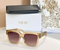 DIOR Sunglasses MODEL CD Diamond S3F SIZE 53-19-145