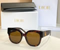 DIOR Sunglasses MODEL DSGTA12UCR SIZE 54- 20-142