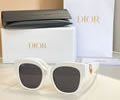 DIOR Sunglasses MODEL DSGTA12UCR SIZE 54- 20-142