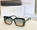 DIOR Sunglasses MODEL DSGTA17UCR SIZE 70-10-145