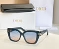 DIOR Sunglasses MODEL CDIOR S1I SIZE 53-15-145