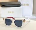 DIOR Sunglasses MODEL CDIOR S1I SIZE 53-15-145