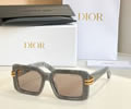DIOR Sunglasses MODEL DSGTA19UCR SIZE 53-18-145