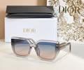 DIOR Sunglasses MODEL DiorSignature S14F SIZE 66-16-140