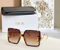 DIOR Sunglasses MODEL DSGTA46UCR SIZE 64-16-140
