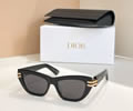 DIOR Sunglasses MODEL CDior B1U SIZE 50-18-135