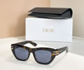 DIOR Sunglasses MODEL CDior B1U SIZE 50-18-135