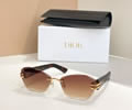 DIOR Sunglasses MODEL DSGTA50UCR SIZE 64-18-145