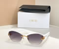 DIOR Sunglasses MODEL DSGTA50UCR SIZE 64-18-145