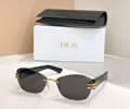DIOR Sunglasses MODEL DSGTA50UCR SIZE 64-18-145
