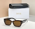 DIOR Sunglasses MODEL DSGTA22UCR SIZE 53-19-140