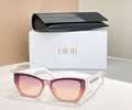 DIOR Sunglasses MODEL DSGTA22UCR SIZE 53-19-140