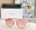 DIOR Sunglasses MODEL DiorBlackSuit R7U SIZE 50-23-145
