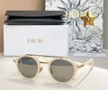 DIOR Sunglasses MODEL DiorBlackSuit R7U SIZE 50-23-145