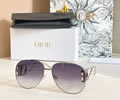 IOR Sunglasses MODEL DSGTA44UCR SIZE 65-16-140