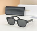 DIOR Sunglasses MODEL CDIcon S4F SIZE 53-20-145