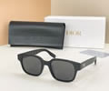 DIOR Sunglasses MODEL CDIcon S4F SIZE 53-20-145