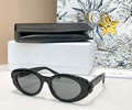 DIOR Sunglasses MODEL DiorClover B1F SIZE 54-19-140
