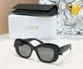DIOR Sunglasses MODEL DiorClover S3I SIZE 51-18-145