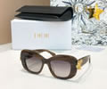 DIOR Sunglasses MODEL DiorClover S3I SIZE 51-18-145