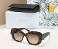 DIOR Sunglasses MODEL DiorClover S3I SIZE 51-18-145