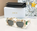 DIOR Sunglasses MODEL DiorClover S3I SIZE 51-18-145